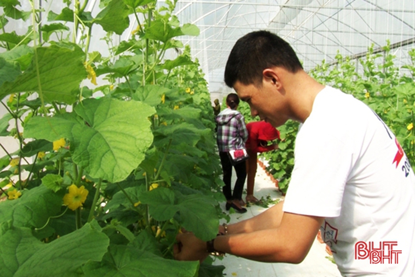 Về Hà Tĩnh, xem nông dân “hi-tech” làm kinh tế