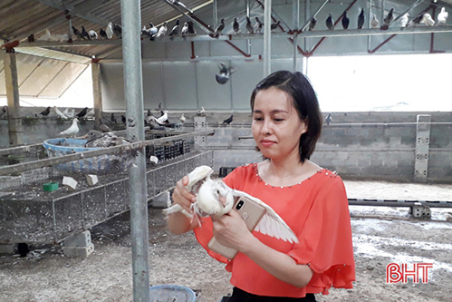 “Mục sở thị” trang trại “khủng” ở Hà Tĩnh thu hàng tỷ đồng mỗi năm