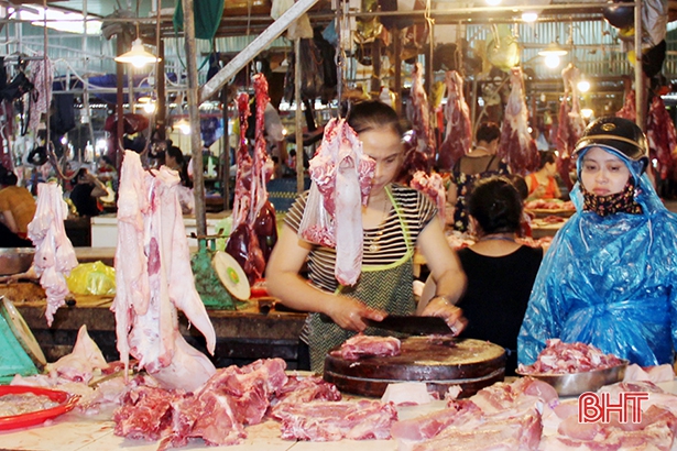 Giá lợn hơi tăng đến “khó tin”, các trang trại ở Hà Tĩnh không còn lợn xuất chuồng