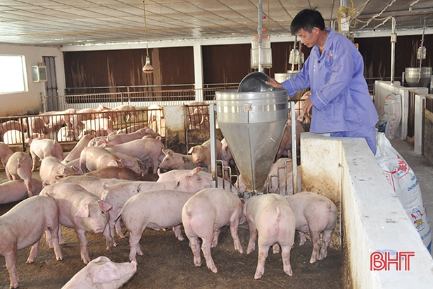 Bộ NN&PTNT cảnh báo nguy cơ xảy ra dịch bệnh gia súc, gia cầm dịp cuối năm