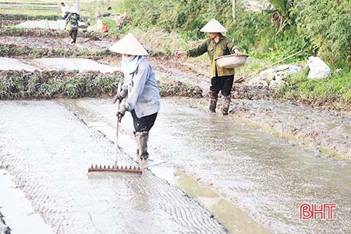 Hơn 200km kênh mương thủy lợi được gia cố, khơi thông “đón” vụ xuân