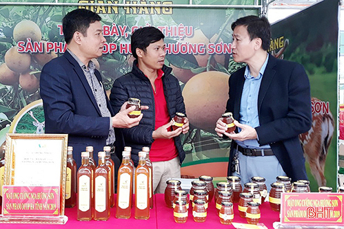 Một hợp tác xã ở Hà Tĩnh sản xuất mật ong đạt chuẩn VietGAP 