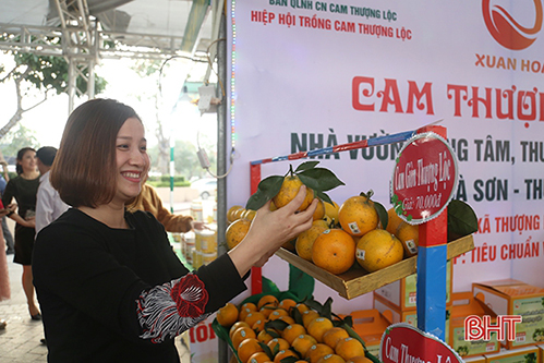 Tưng bừng khai mạc Lễ hội Cam và các sản phẩm nông nghiệp Hà Tĩnh lần thứ 3