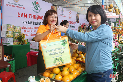 Những gian hàng “níu chân” khách ở Lễ hội Cam và sản phẩm nông nghiệp Hà Tĩnh