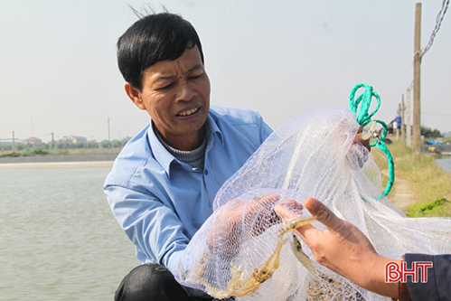 “Trao cần câu”, nông dân Lộc Hà tự tin khởi nghiệp