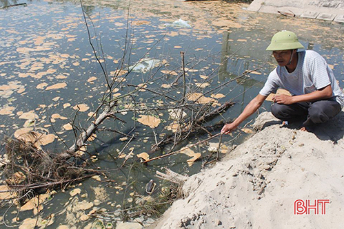Đâu là hướng đi bền vững cho nuôi tôm trên cát ở Hà Tĩnh?