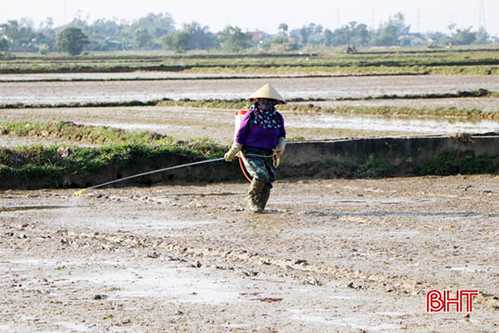 Cảnh báo tình trạng gieo cấy trước lịch thời vụ ở Hà Tĩnh trong điều kiện vụ xuân ấm 2020 