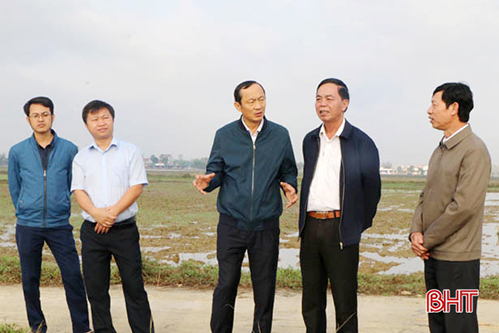 Cảnh báo tình trạng gieo cấy trước lịch thời vụ ở Hà Tĩnh trong điều kiện vụ xuân ấm 2020 
