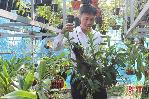 Thầy giáo trường làng Hà Tĩnh mê thuần hóa lan rừng