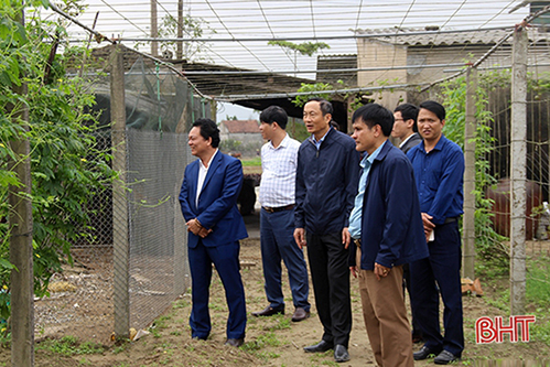 Lãnh đạo Hà Tĩnh kiểm tra sản xuất đầu năm tại Lộc Hà, Nghi Xuân