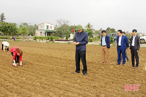 Lãnh đạo Hà Tĩnh kiểm tra sản xuất đầu năm tại Lộc Hà, Nghi Xuân