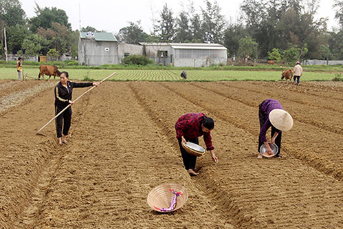 Lãnh đạo Hà Tĩnh kiểm tra sản xuất đầu năm tại Lộc Hà, Nghi Xuân