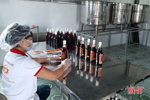 Các cơ sở chế biến thủy hải sản tại Hà Tĩnh “mạnh tay” đầu tư cho vụ sản xuất mới