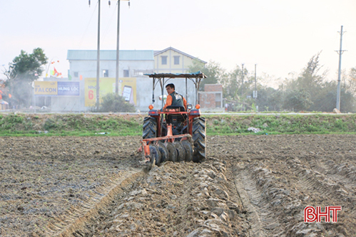 Tiến độ gieo trỉa cây trồng cạn vụ xuân ở Hà Tĩnh mới chỉ đạt 30 - 71%