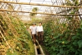 Mô hình vườn kiểu mẫu ở Hà Tĩnh: Hướng phát triển bền vững trong xây dựng nông thôn mới