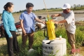 Xây hố rác giữa đồng, TX Hồng Lĩnh giảm ô nhiễm đồng ruộng