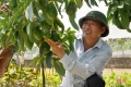 Cựu lính vùng 3 hải quân ở Hà Tĩnh “khiến" đất nở hoa trái