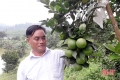 “Mục sở thị” trang trại “khủng” ở Hà Tĩnh thu hàng tỷ đồng mỗi năm