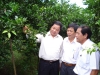 Giúp người trồng rau VietGAP phát triển bền vững