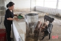 Giá lợn giống tăng cao, người chăn nuôi Hà Tĩnh khó tái đàn