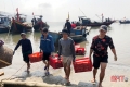 Ngư dân Kỳ Ninh trúng đậm cá cơm những chuyến biển đầu năm