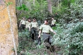 Hà Tĩnh: Chủ động bảo vệ rừng trong dịp tết Nguyên đán Canh Tý 2020