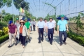 Đoàn công tác Văn phòng Điều phối NTM Trung ương khảo sát, đánh giá kết quả xây dựng NTM tại Hà Tĩnh