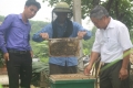 Ông Nguyễn Kim Lam- Chủ nhiệm HTX nuôi ong xã Sơn Thọ phấn khởi thu hoạch mật ong