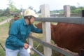Xã Sơn Thọ tập trung tiêm phòng cho đàn gia súc đợt 1 năm 2018 đạt chỉ tiêu, kế hoạch
