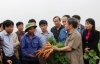 Chủ tịch UBND tỉnh đề nghị đội ngũ kỹ thuật tiếp tục theo dõi quá trình sinh trưởng của 4 loại cà rốt để có tổng hợp, lựa chọn giống phù hợp nhằm nhân rộng.
