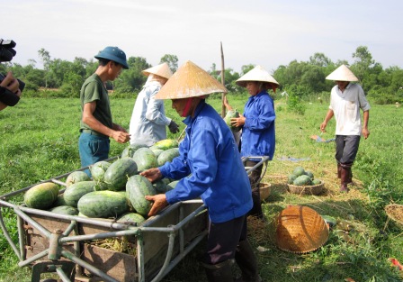 Quang Bình phát triển mô hình trồng bí ngô dưa hấu trên đất 1 vụ  Báo Hà  Giang điện tử