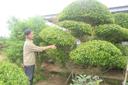 Cựu chiến binh Lê Hữu Quế khắc phục khó khăn, xây dựng vườn mẫu thu nhập trên 200 triệu đồng mỗi năm.