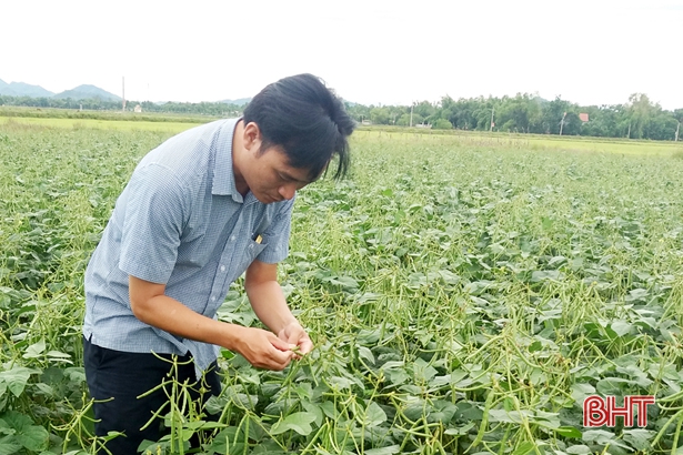 Chàng kỹ sư “bỏ” viện nghiên cứu lớn về làm bạn với nhà nông Hà Tĩnh