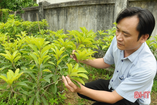 Chàng kỹ sư “bỏ” viện nghiên cứu lớn về làm bạn với nhà nông Hà Tĩnh