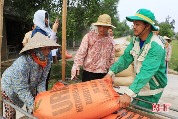 Xây dựng cánh đồng lớn tại Hà Tĩnh: Chủ trương có, khó thực hiện