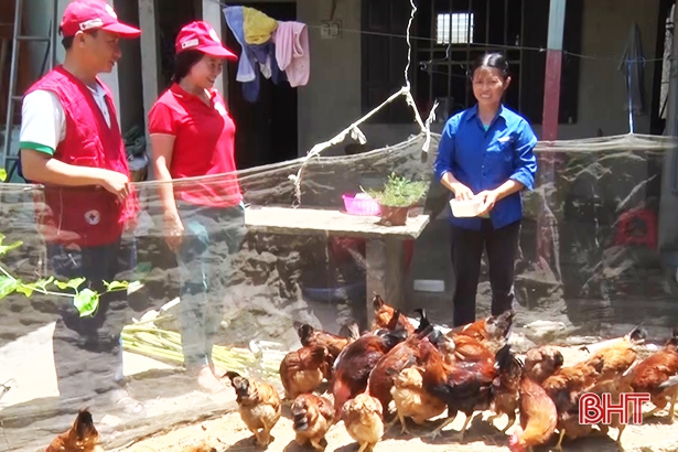 “Ngân hàng gà” tạo sinh kế cho gia đình chính sách, hộ nghèo Nghi Xuân