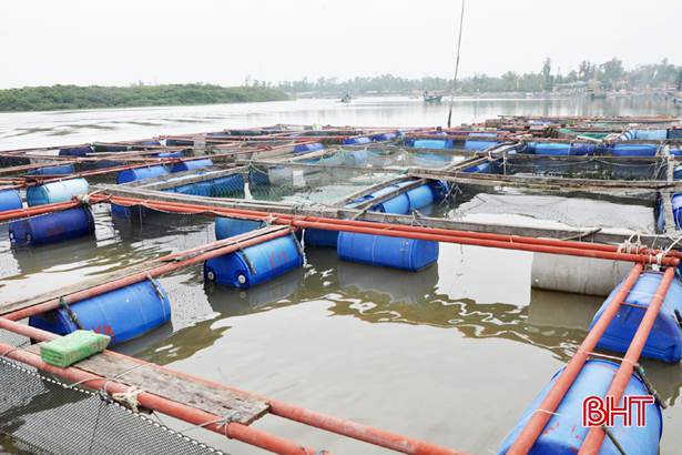 Người dân Thạch Hà đầu tư hàng trăm tỷ đồng nuôi trồng 1.020 ha thủy sản