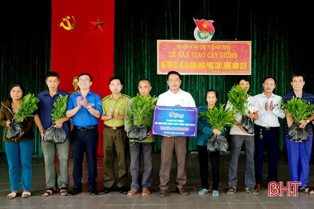 Hỗ trợ người dân Hà Tĩnh 70 nghìn cây giống tái tạo rừng, xây dựng nông thôn mới