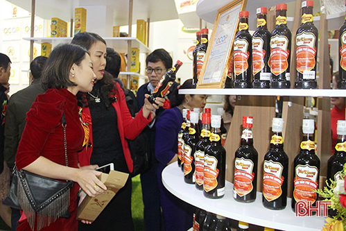 Khai trương điểm trưng bày sản phẩm OCOP và nơi làm việc chung cho doanh nghiệp Hà Tĩnh