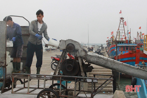 Ngư dân Hà Tĩnh háo hức bám biển đầu năm