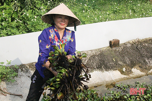 Nuôi đặc sản cua đồng, nông dân Hà Tĩnh “bỏ túi” 50-60 triệu đồng mỗi vụ