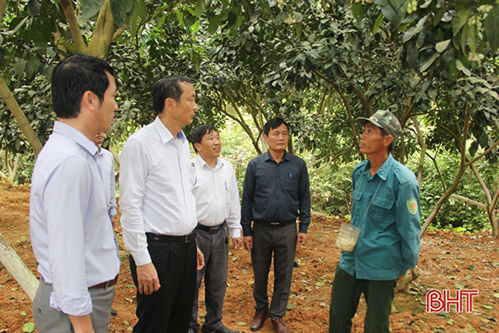 Hương Khê phát triển kinh tế vườn, nâng cao chất lượng cuộc sống cho người dân