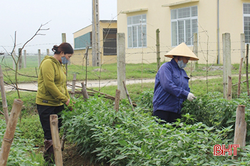 Xã đầu tiên ở Hà Tĩnh lắp camera giám sát sản xuất, nông dân không lo mất trộm cây giống
