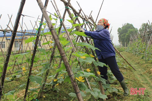 Xã đầu tiên ở Hà Tĩnh lắp camera giám sát sản xuất, nông dân không lo mất trộm cây giống