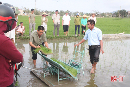 Nông dân Hà Tĩnh “mục sở thị” cấy lúa bằng máy trên đồng ruộng
