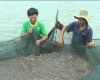 Hà Tĩnh: Triển khai đường dây nóng bảo vệ nguồn lợi thủy sản