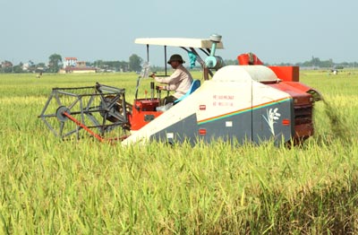 HTX nông nghiệp Thụy Hương (Chương Mỹ) đưa cơ giới hóa vào phục vụ sản xuất. Ảnh: Bá Hoạt