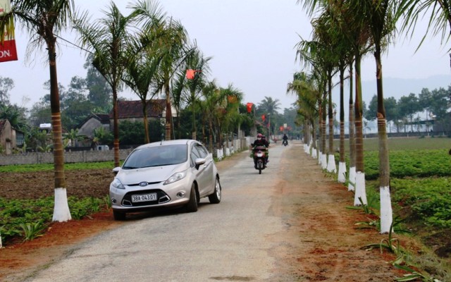 Đường vào Khu dân cư nông thôn mới kiểu mẫu thôn Hương Mỹ, xã Xuân Mỹ, huyện Nghi Xuân