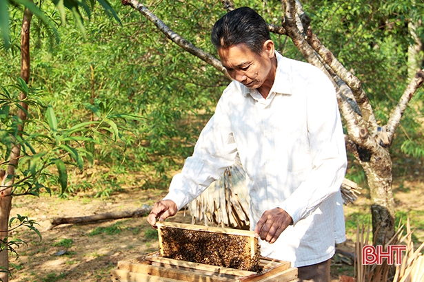 Nuôi ong vùng trà sơn Can Lộc - chờ cơ hội mới từ Farmstay