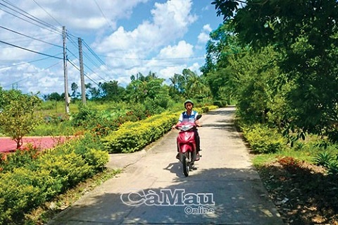 Mặc dù lộ nông thôn xã Tạ An Khương Nam, huyện Đầm Dơi được xây mới 12,3 km, nhưng tỷ lệ lộ xuống cấp, hư hỏng do nhiều năm sử dụng chiếm khá cao, khiến tiêu chí này bị "non" chuẩn.